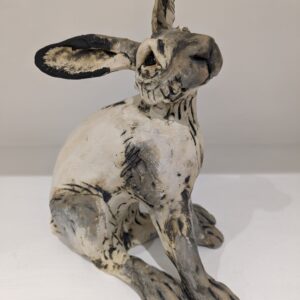 Grey Mountain Hare